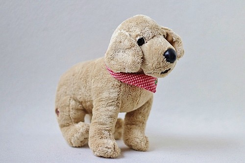 Die spiegelburg hund luzie - die,