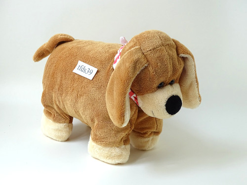 Die spiegelburg hund - die,